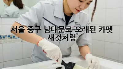 서울 중구 남대문로 오래된 카펫, 새것처럼!